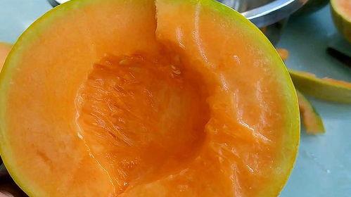 蜜瓜热门音乐推荐大全,热门歌曲推荐大盘点