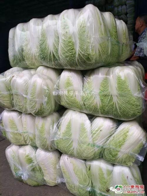 大连角瓜批发今日价格,行情波动，价格走势分析”