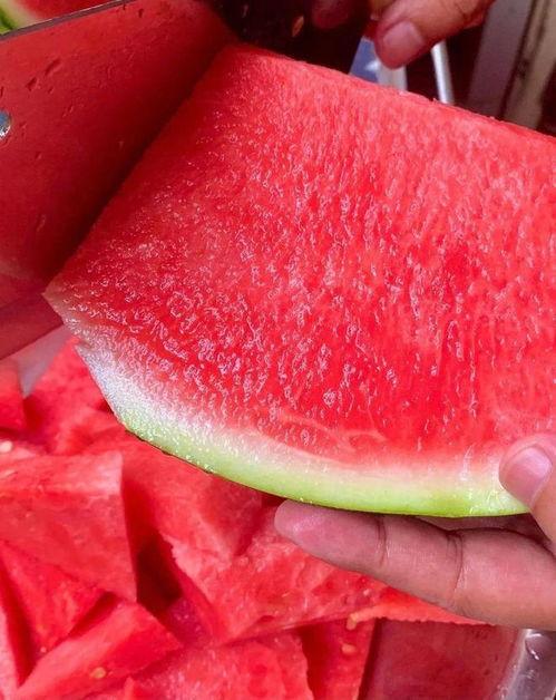 三亚热门大瓜,揭秘热门大瓜背后的真相与争议