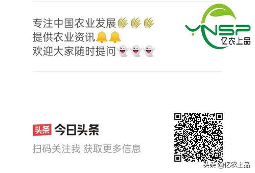 今日头条有哪些瓜,娱乐圈、科技圈、社会热点大揭秘！