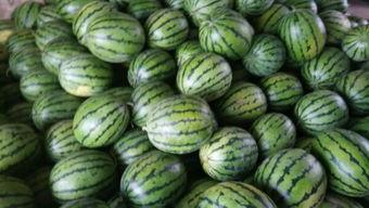 热门热瓜,明星恋情、幕后黑幕大曝光！