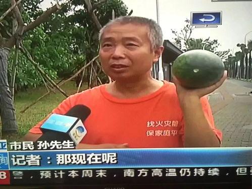 2023吃瓜热门事件回顾,回顾年度焦点瞬间