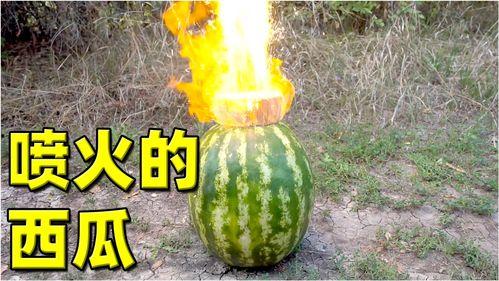 热门大瓜官网,独家爆料，娱乐圈风云再起