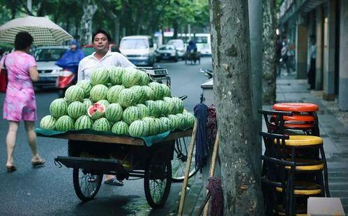 上海今日头条卖瓜,揭秘卖瓜背后的故事，带你领略瓜农的辛勤与智慧