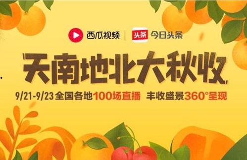 上海今日头条卖瓜,揭秘卖瓜背后的故事，带你领略瓜农的辛勤与智慧