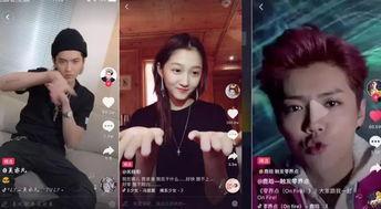 明星网红借钱视频大全