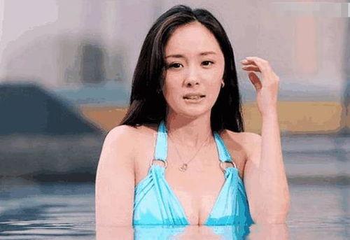 明星网红泳衣照片大全,明星网红泳衣穿搭大盘点