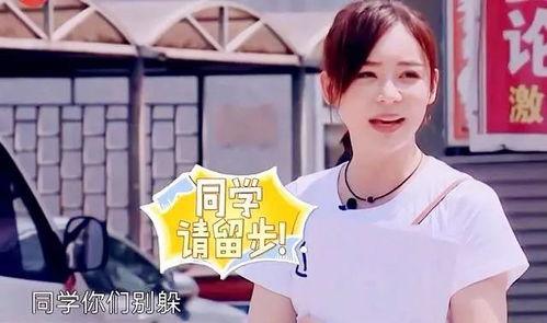 500多个明星网红有谁,揭秘500多位明星网红的璀璨阵容