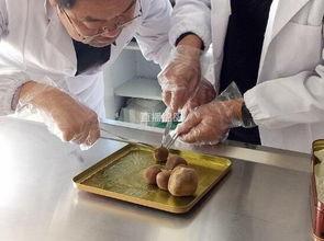 羊宝吃瓜爆料的是真的吗,真相揭秘，是真是假？