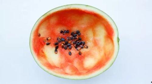 羊宝吃瓜爆料的是真的吗,真相揭秘，是真是假？