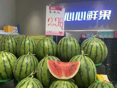 飞瓜热门,揭秘短视频平台热门内容背后的秘密