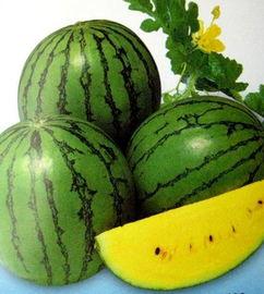 上热门都是瓜喽,热门事件盘点，瓜瓜连连看