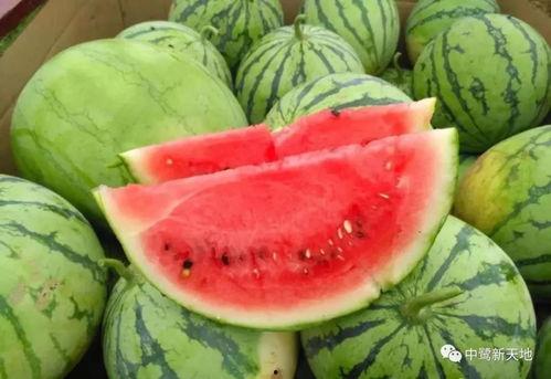 黑聊吃瓜网,网络舆论场中的暗流涌动