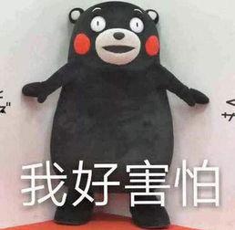 吃瓜热门大事件,揭秘近期热门大事件背后的真相与争议