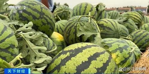 每日吃瓜今日热门,盘点今日热门事件，揭秘娱乐圈风云变幻