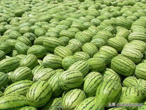 吃瓜网站热门大瓜,明星大瓜连连，真相揭秘！