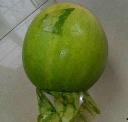 汾阳今日吃瓜事件最新,揭秘背后真相与网络舆论风暴