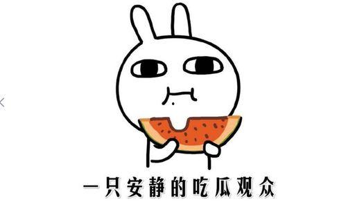 抖音瓜热门瓜,揭秘热门事件背后的真相与争议