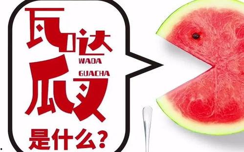 抖音瓜热门瓜,揭秘热门事件背后的真相与争议