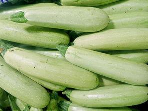 云南小瓜今日新闻,助力乡村振兴新篇章