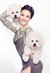 犬系明星网红排名,盘点最受欢迎的犬系明星