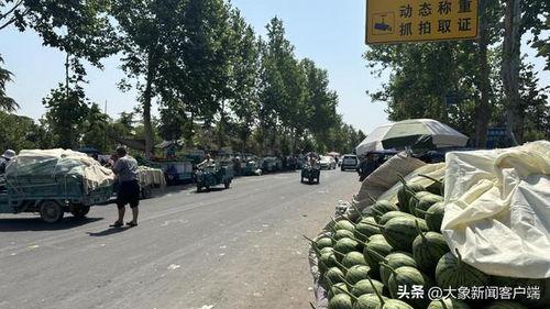 中牟吊瓜价格今日行情,价格波动解析