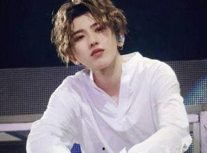 娱乐圈吃瓜白鹿蔡徐坤,白鹿与蔡徐坤的瓜田奇遇