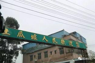 园洲土瓜圩今日关注,探寻传统市集的新活力