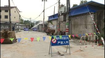 园洲土瓜圩今日关注,探寻传统市集的新活力