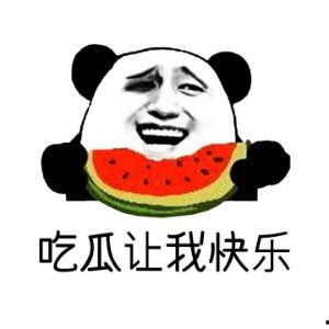 你爆料我吃瓜小说沙雕动画,揭秘“吃瓜小说”背后的爆笑世界