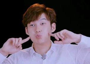 明星网红爸爸叫什么,揭秘育儿达人背后的故事