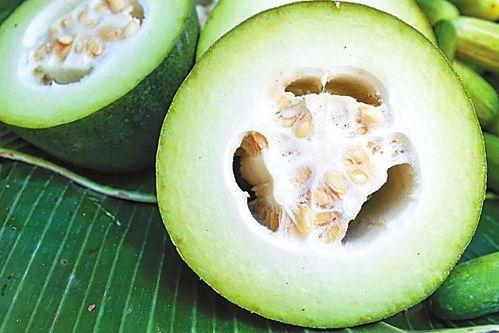 历史热门瓜,那些年轰动一时的热门瓜