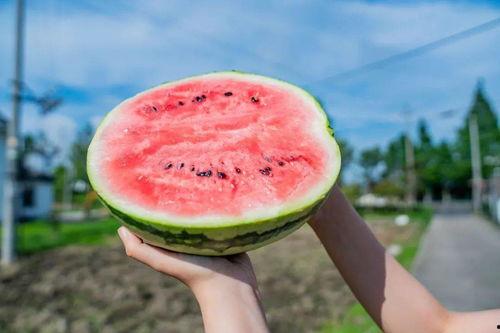 吃瓜黑科管的作品,一场科技与娱乐的跨界盛宴