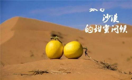 蜜瓜剧场热门短剧推荐,笑点泪点齐飞，精彩瞬间不容错过