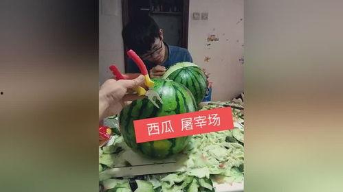 瓜木木看热门,揭秘当下热门话题与现象