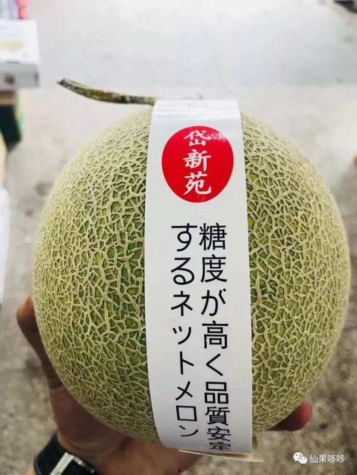 圆的网纹瓜今日价格,圆的网纹瓜今日行情一览