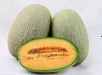 圆的网纹瓜今日价格,圆的网纹瓜今日行情一览