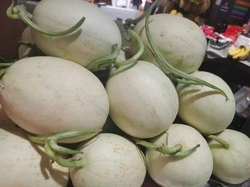 海南玉菇瓜今日行情,丰收季里的价格波动与市场动态