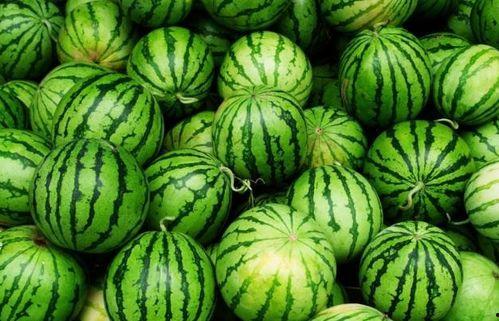 邢台今日必吃的瓜,探寻地道的邢台风味