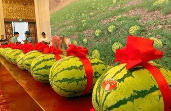 邢台今日必吃的瓜,探寻地道的邢台风味