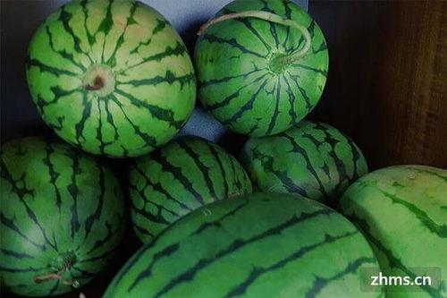 银川麒麟瓜今日最新价格,价格行情一览”