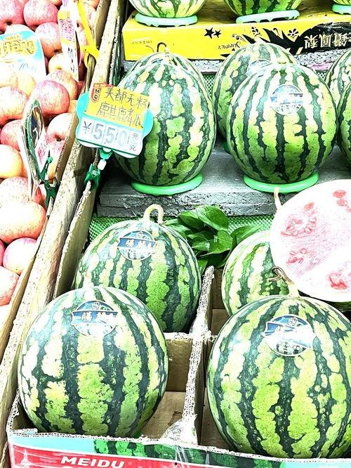 银川麒麟瓜今日最新价格,价格行情一览”