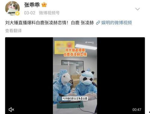 吃瓜爆料张凌赫是真的吗,张凌赫真实身份揭秘