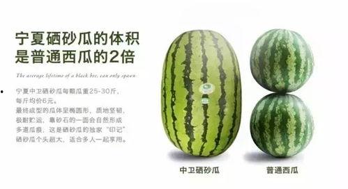 宁夏硒砂瓜今日价,今日市场行情一览，品质佳价优引关注”