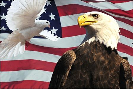 黑贝贝宁瓜今日价格,市场行情实时解析”