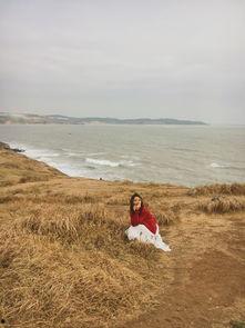 海角吃瓜黑料不打洋,黑料风波背后的真相与反思