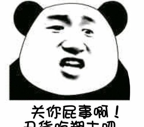 热门事件吃瓜女主小说,揭秘热门事件背后的神秘女主