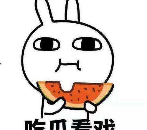 热门事件吃瓜女主小说,揭秘热门事件背后的神秘女主