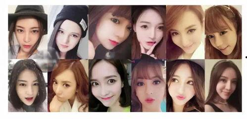 明星网红地图迷你号,地图迷你号带你探索潮流风向标