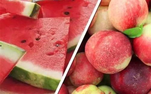 08年的黑粉头子吃瓜,揭秘网络暴力背后的真相